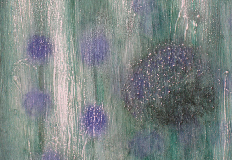 Alliums