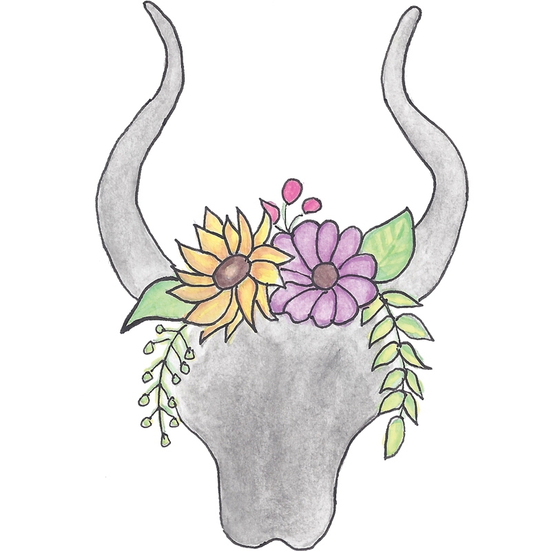 Floral Bull Illustration - LovettSmith Design